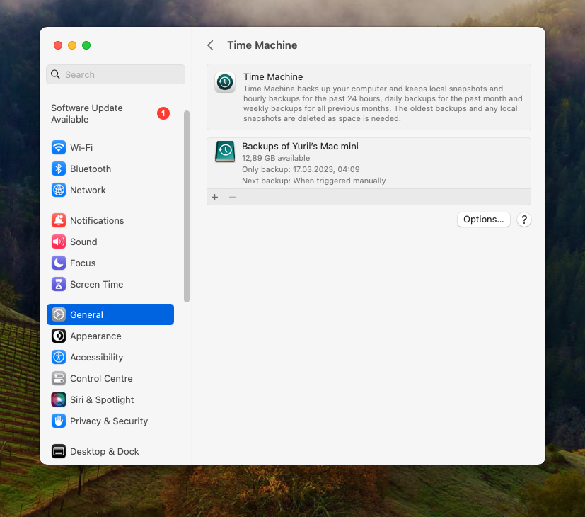 Time Machine in the System Preferences window