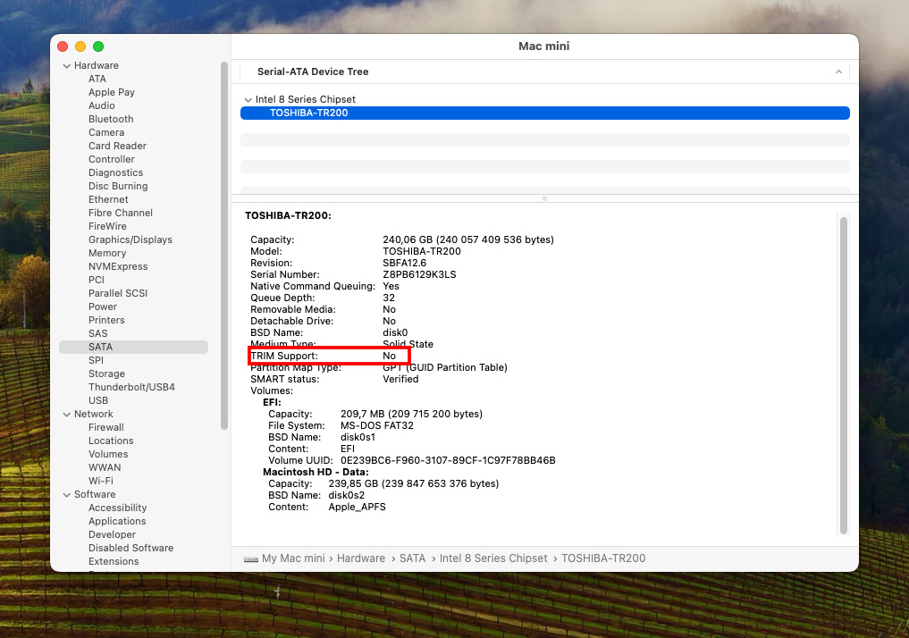 check if TRIM is enabled