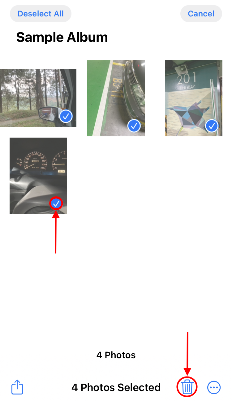 select photos to delete