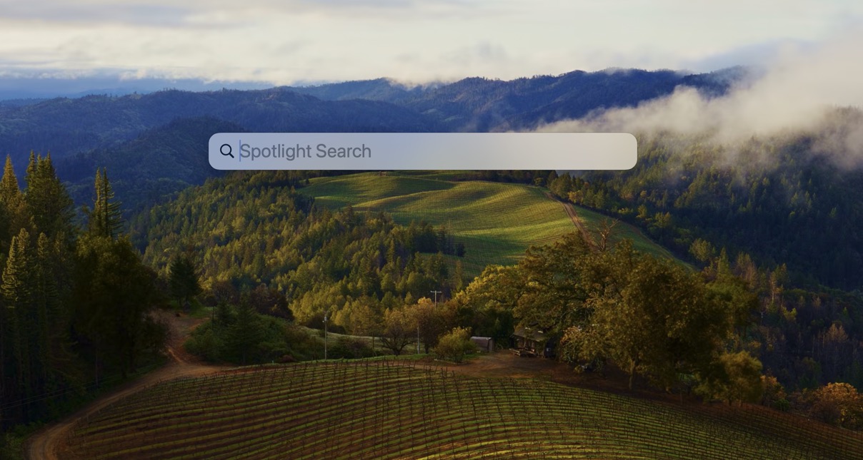 spotlight search bar
