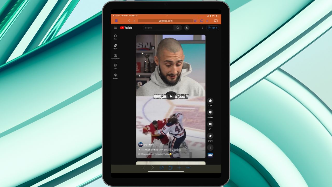 iPad with iWebTV on display. The iPad is on a green background.