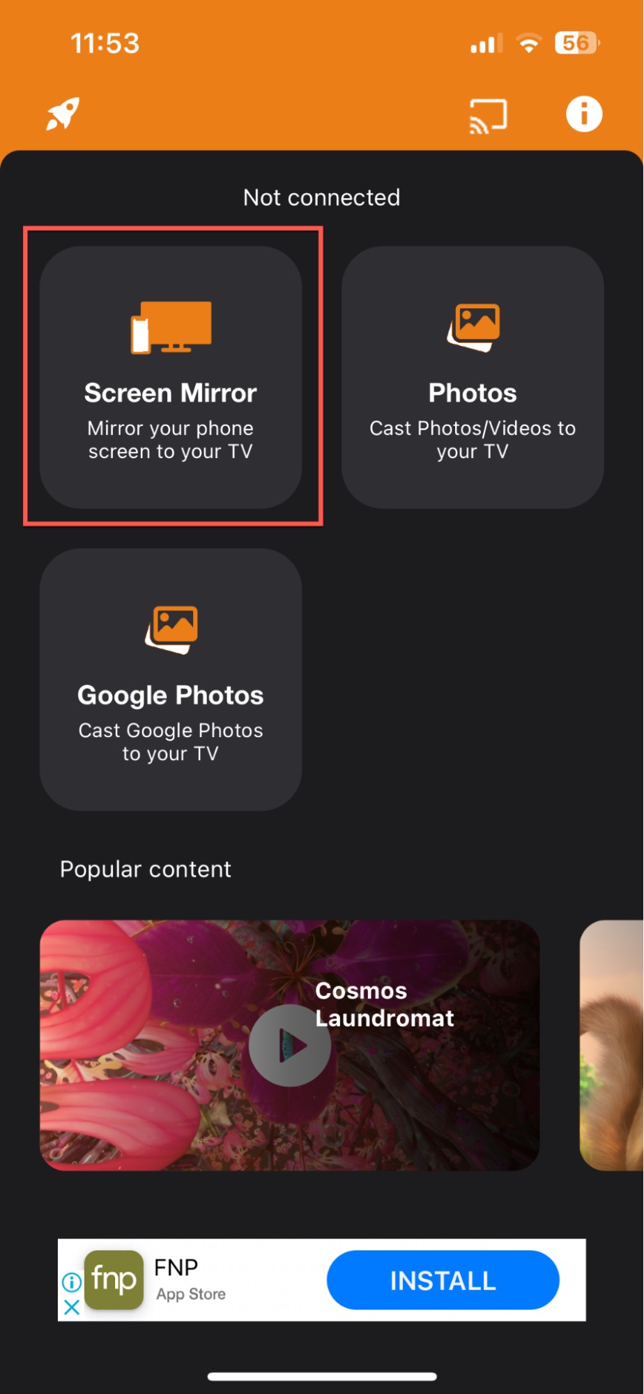 Tap on the Screen Mirror option in Screen Mirroring for Fire TV
