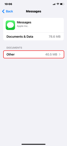 Attachment data type selection in the Messages menu of the iPhone Storage settings