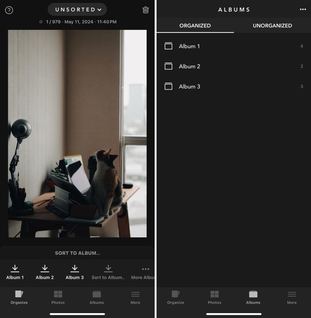 9 Best Photo Organizer Apps for iPhone in 2024