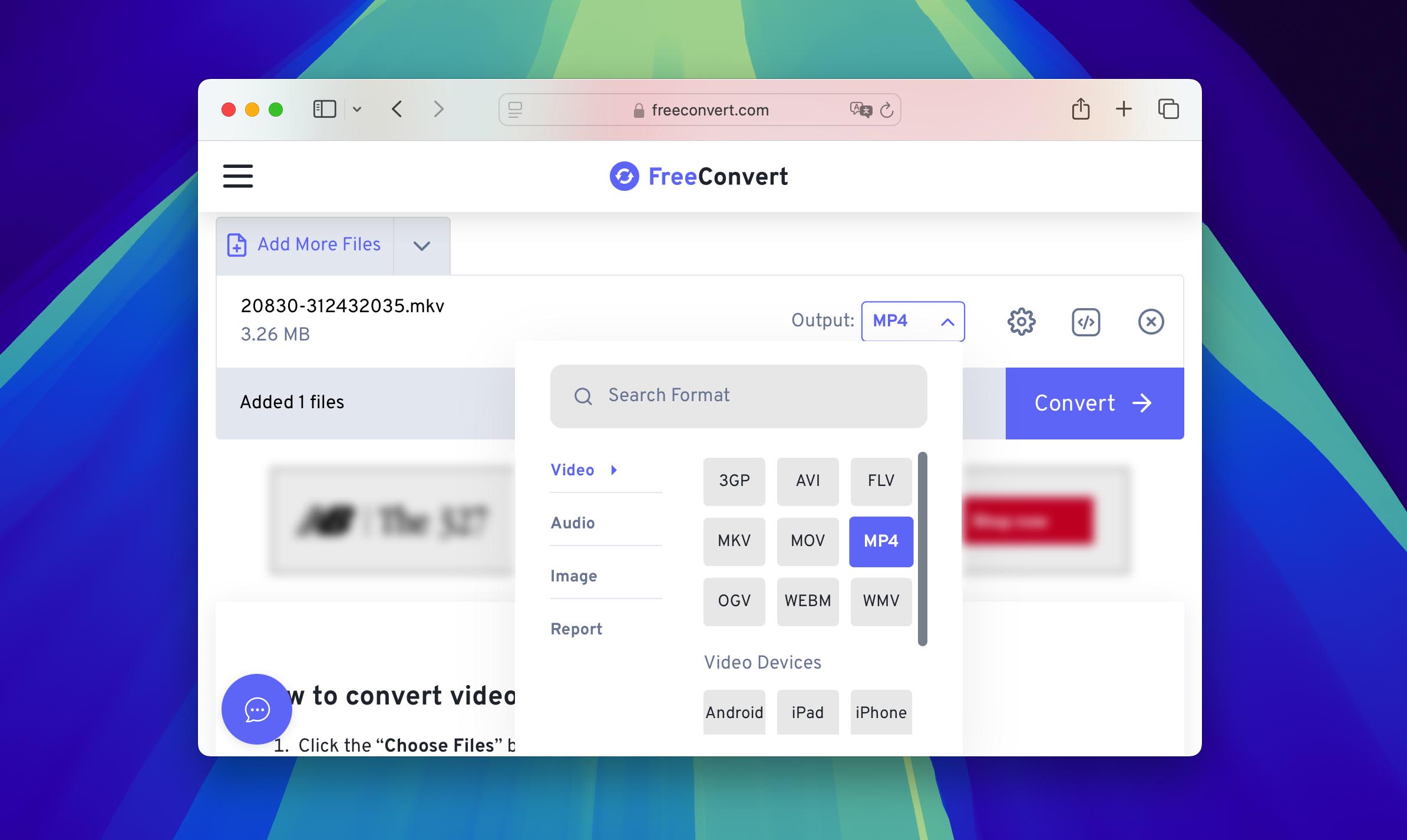 choose format in online converter